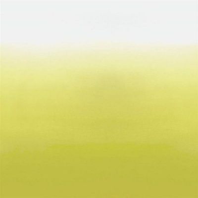 Панно для стен Designers Guild Marquisette арт. P600/03 Чебоксары купить с доставкой